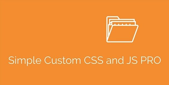 Simple Custom CSS and JS PRO